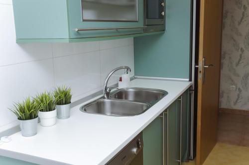 a kitchen with a sink and some plants on the counter at Ático junto al Teatro AUDITORIO de Roquetas de Mar in Roquetas de Mar