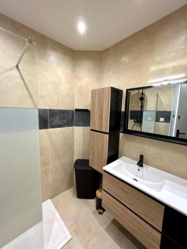 une salle de bain avec un lavabo et une douche avec un miroir dans l'établissement Jolie T2 Centre Historique d'Avignon au 2ème étage, à Avignon