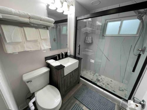 a bathroom with a shower and a toilet and a sink at Cozy Home near O HARE fast internet 6 cars parking space in Des Plaines