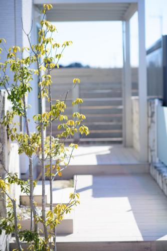 a plant sitting on the side of a building at Pool Villa Mito - Pool Villa 水戸 in Mito