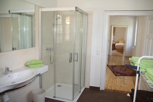 a bathroom with a glass shower and a sink at Domitian 2 in Millstatt