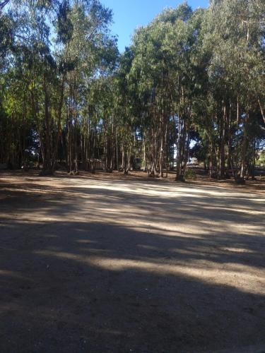 a large open field with trees in the background at Cabaña Bosque Los Duendes in Puchuncaví
