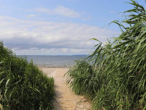a sandy beach with tall grass and the ocean at 4 star holiday home in SKÅNE VEJBYSTRAND in Vejbystrand