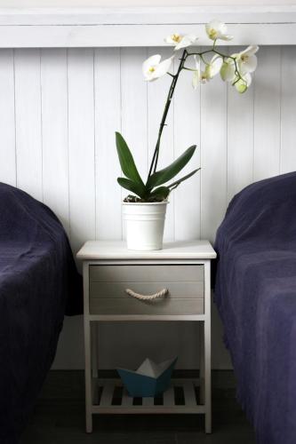 a plant in a pot on a night stand next to two beds at One More Night in Fregene