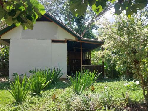 Κήπος έξω από το JARDIN DE LAS MUSAS