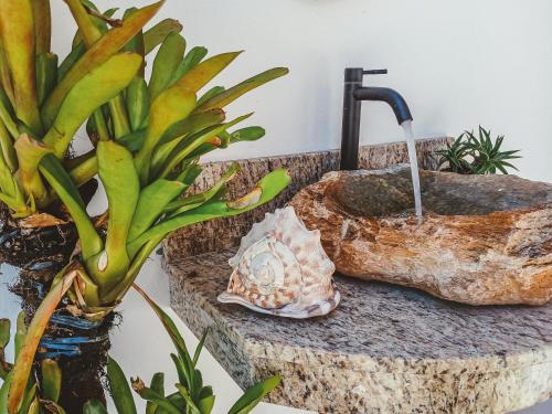 a bathroom sink with a shell on a counter at Pousada Mirante do Sol in Paraty