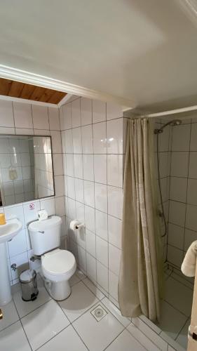 a bathroom with a toilet and a shower at Hostal Boutique F in El Quisco