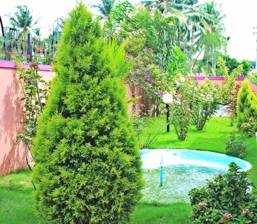 a large green bush next to a swimming pool at Aneys River View Home stay & Resort in Palakkad
