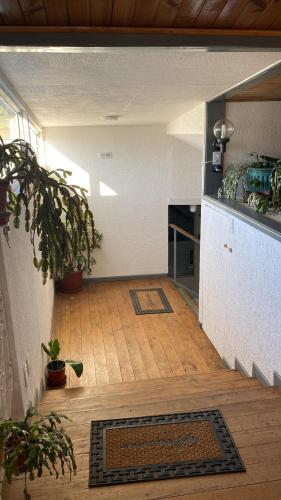 an empty room with a hallway with plants in it at Hostal Boutique F in El Quisco