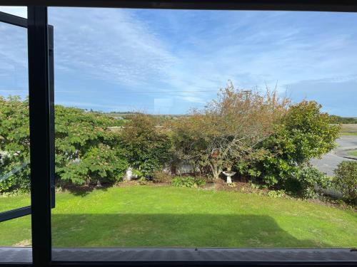 a window view of a yard with trees and grass at Amberlea B&B in Hokitika