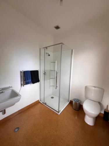a bathroom with a glass shower and a toilet at On Top Backpackers in Dunedin