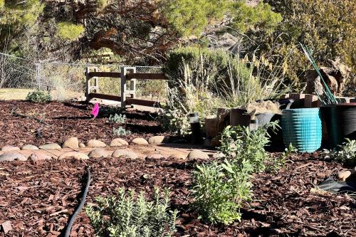 a garden with a wooden fence and some plants at Sunshine House - Nestled In Page Springs in Cottonwood