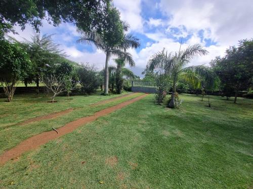 a dirt road in a park with palm trees at Chácara Cantinho dos Sonhos in Chapada dos Guimarães