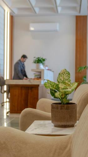 a potted plant sitting on a table in a waiting room at Ishwar Kot in Sheoganj