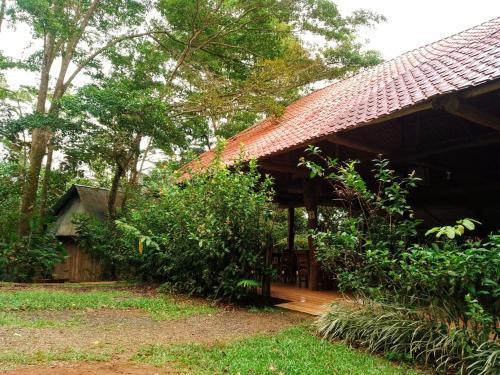 a house with a wooden porch in the grass at Centro Etnoturístico El Descanso in Térraba