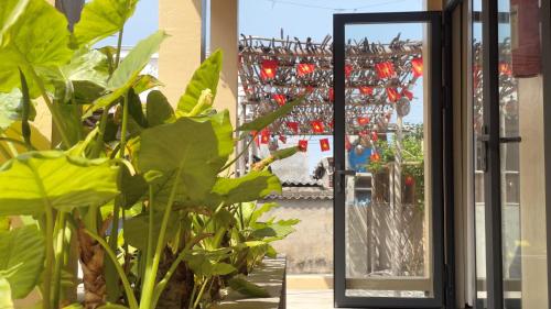 Zahrada ubytování Homestay Nhà Trong Hẻm Đảo Phú Quý