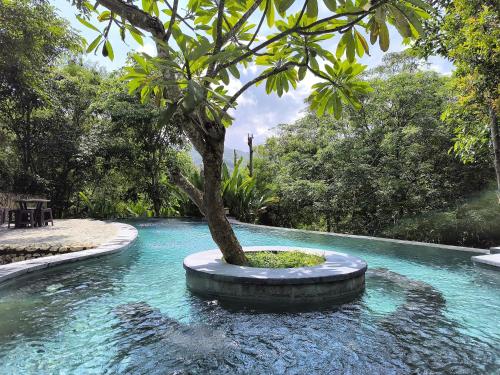 Kolam renang di atau dekat dengan Tahoma Villas Labuan Bajo by ABM