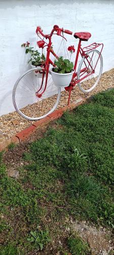 a red bike parked next to a wall with a plant at Vándor Kakas Vendégház dézsafürdővel in Recsk