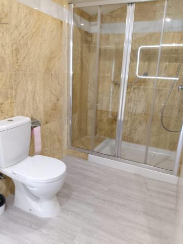 a bathroom with a toilet and a shower at Lugomar-Feijoo in Alpedrete