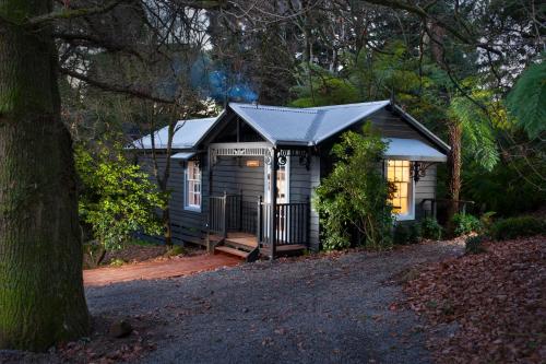 a small cabin in the woods with a tree at Leddicott Cottage in Olinda