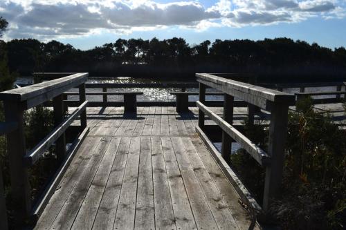 a wooden dock with two benches on a lake at Cassini in Venus Bay