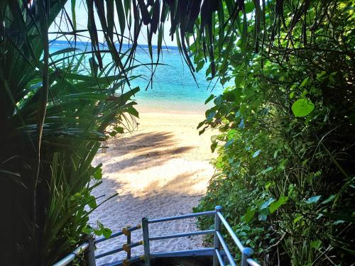 un escalier menant à une plage avec un banc dans l'établissement -Shiratec Premium by Base- スイート仕様の貸切ハウス,広い庭を独り占め, à Onna