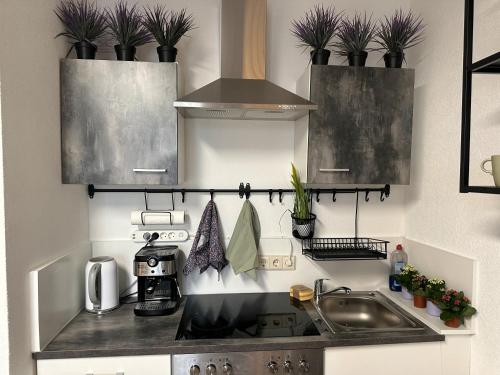 a kitchen with a sink and potted plants on the wall at Green Hills In Bad Bergzabern in Bad Bergzabern