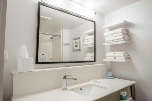 a bathroom with a sink and a large mirror at Hampton Inn Jacksonville South/I-95 at JTB in Jacksonville