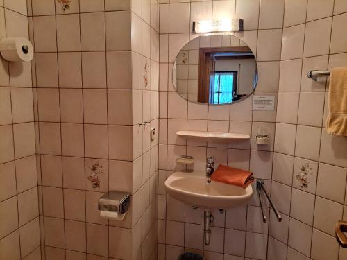 a small bathroom with a sink and a mirror at Gasthaus Zur Rose in Stuppach