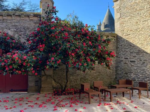 a tree with red flowers on the ground next to chairs at Gite du Canal in Josselin