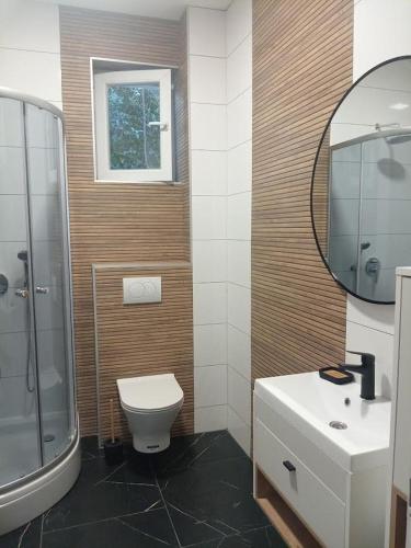 a bathroom with a toilet and a sink and a mirror at Villa Adriatic 2 in Biograd na Moru