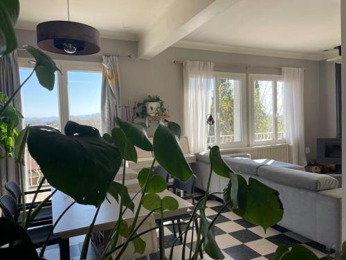 un salon avec un canapé et une plante dans l'établissement Orange villa, à Orange