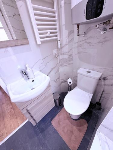 une salle de bain blanche avec des toilettes et un lavabo dans l'établissement Magnifique 2 pièces refait à neuf - Parking, à Paris