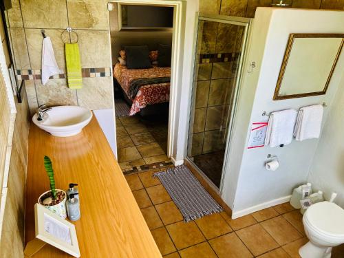 a bathroom with a sink and a shower and a toilet at Sabie Self Catering Apartments in Sabie
