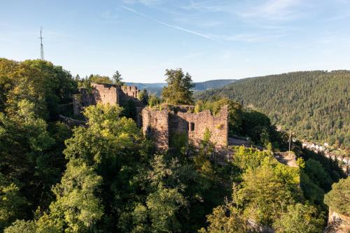an old castle on top of a hill with trees at Ferienwohnungen Schwabenhof in Schramberg
