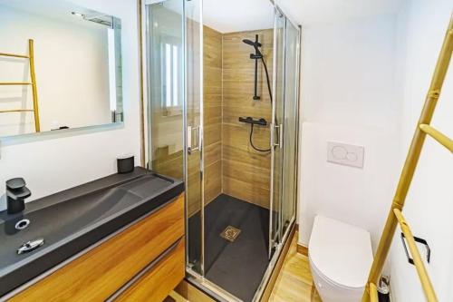 Un baño con ducha, inodoro y lavabo. en Studio cosy avec mezzanine, bien équipé, Caluire, en Caluire-et-Cuire