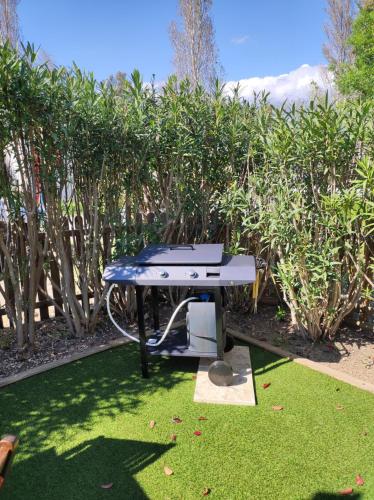 Grand Mobil Home Camping "Les Pins Maritimes" 4 étoiles 200m de la Plage