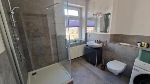 a bathroom with a shower and a toilet and a sink at Grüne Oase am Küchwald in Chemnitz