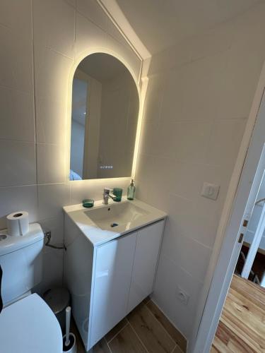 une salle de bain avec un lavabo, des toilettes et un miroir dans l'établissement Le Ramblas Jean Jaures Matabieu, à Toulouse