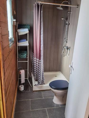 ein Bad mit einem WC und einer Dusche mit einem Vorhang in der Unterkunft Tiny house-chalet à l'étang in Champsac