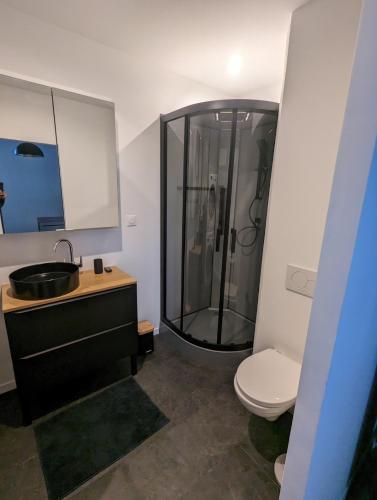 une salle de bain avec une douche, des toilettes et un lavabo dans l'établissement Petit corbin, à Vannes