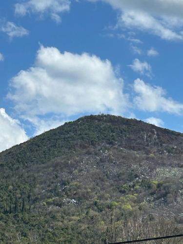 a hill with trees on the top of it at Rooms Vidović in Međugorje