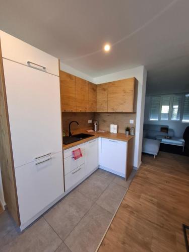 Kuchyň nebo kuchyňský kout v ubytování Grand appartement au calme proche du centre-ville