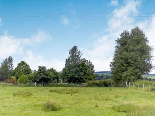 a field of grass with trees in the background at Robin's Nest in Craven Arms