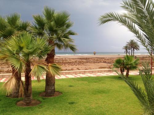 a group of palm trees on the beach at Hotel Tikar in Garrucha