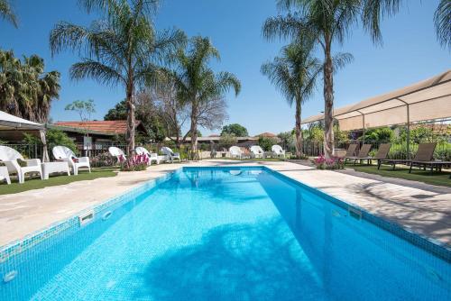 a blue swimming pool with palm trees and chairs at Song of Galilee in Elifelet