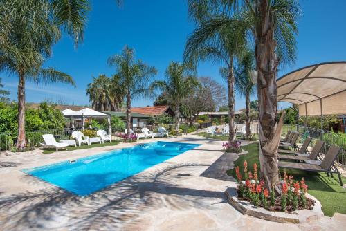 a swimming pool with palm trees and lounge chairs at Song of Galilee in Elifelet