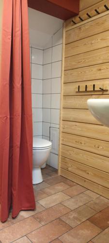 a bathroom with a toilet and a sink at Měšťanský dům - kulturní památka Mlýnská 119 in Jindrichuv Hradec