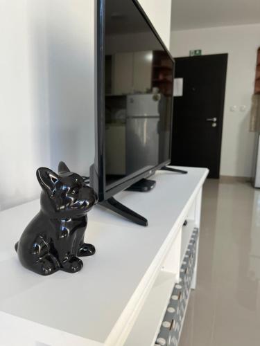 a black cat statue sitting on a table with a tv at Apartman Miletic in Ostrovo