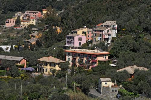 a group of houses on a hill with trees at Hotel Villa Belvedere in Bonassola